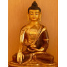 Buddha Shakyamuni