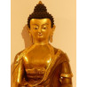 Buddha Shakyamuni