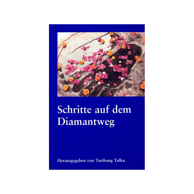 Schritte auf dem Diamantweg