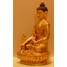Medizin Buddha