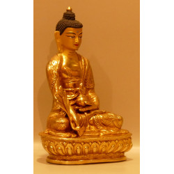 Medizin Buddha