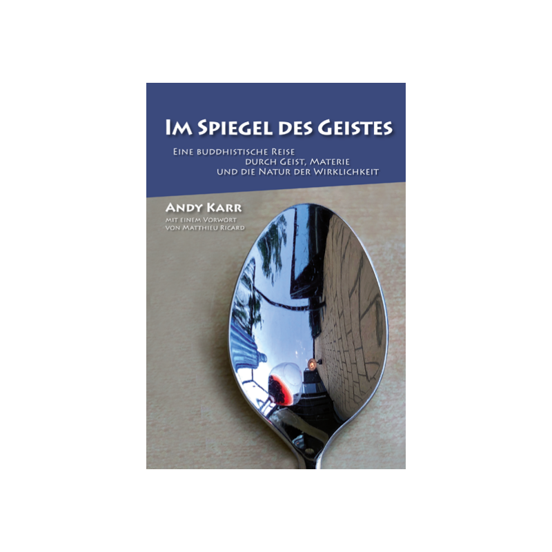 Im Spiegel des Geistes